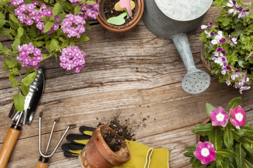 Professional garden redesign for a Sanderstead home