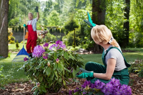 Garden clearance equipment and waste removal in a Sanderstead garden
