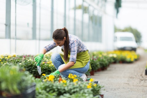 Accessibility support and request process for local landscaping information