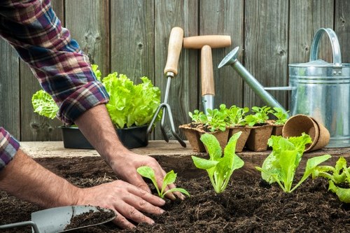 Landscaping ideas for a beautiful Sanderstead garden