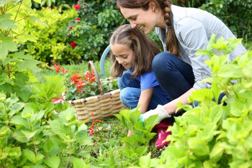 Professional garden design with planting and paving in Sanderstead