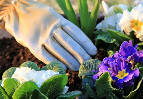 Professional landscaping team handling a complaint fairly and calmly