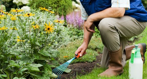 Professional garden maintenance work including hedge trimming and border care