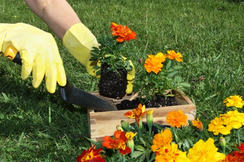Local landscaping team preparing a patio and planting area