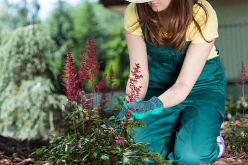 Trained landscaper wearing PPE while handling rubbish clearance work