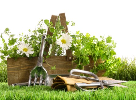 Seasonal garden tidy-up with leaves cleared and shrubs pruned