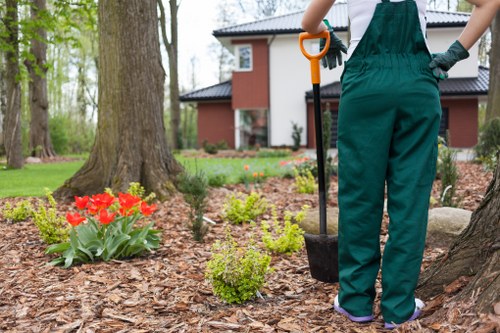 Outdoor garden planning and planting by Sanderstead landscapers