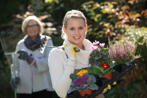 Seasonal planting arrangement with evergreen and flowering plants in Sanderstead